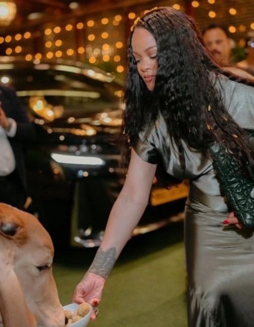 Rihanna's Photo Sparks Internet Storm