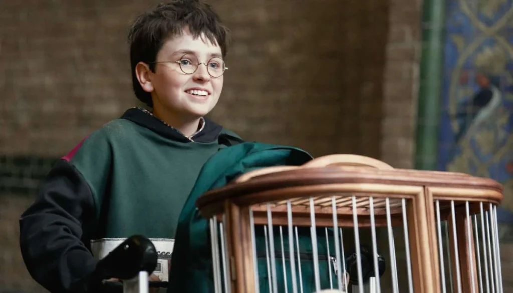 Harry Potter